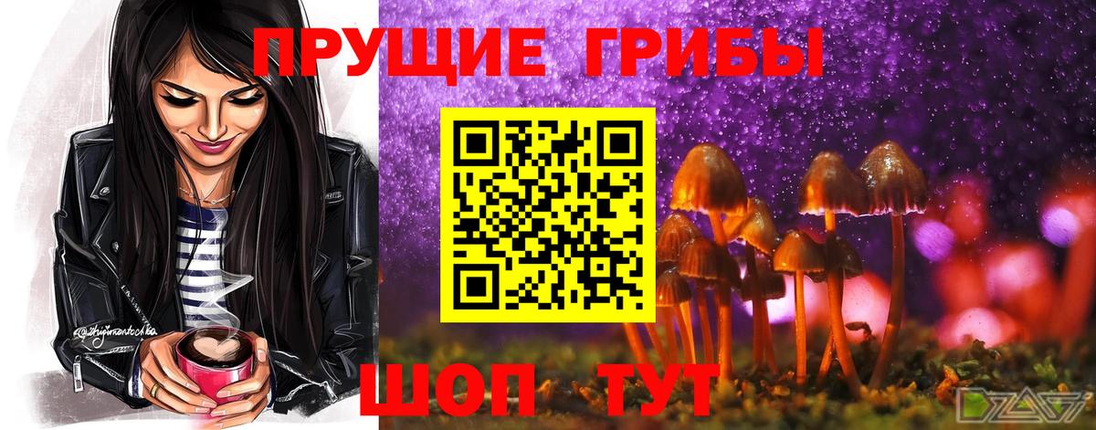 Псилоцибиновые грибы Psilocybine cubensis  закладка  Нижний Новгород  Вход с VPN 